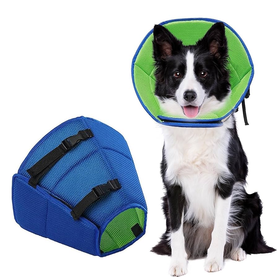 Amazon | CMD エリザベスカラー 犬 猫 大型犬 通気性 調整可能